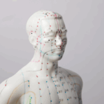 Acupuncture points on a male model