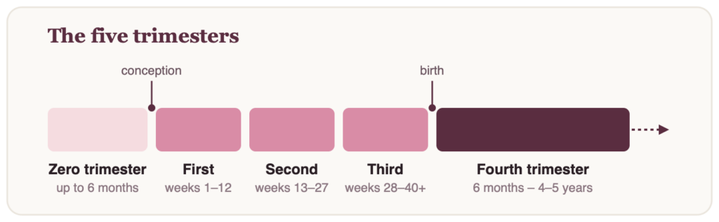 Timeline of five trimesters: the zero trimester (up to 6 months of preparation before conception), the first, second, and third trimesters of pregnancy (weeks 28 to 40 and beyond), and the fourth trimester (postpartum, from 6 months up to 4 to 5 years)