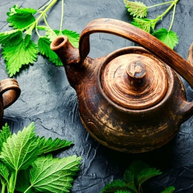 Nettle leaf tea