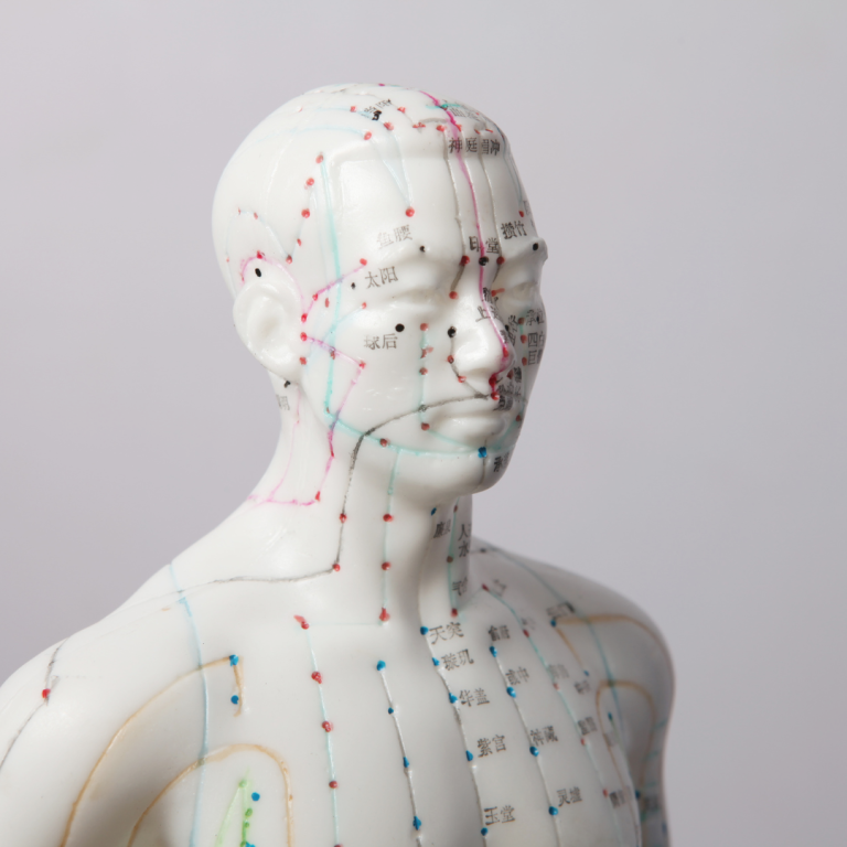 Acupuncture points on a male model